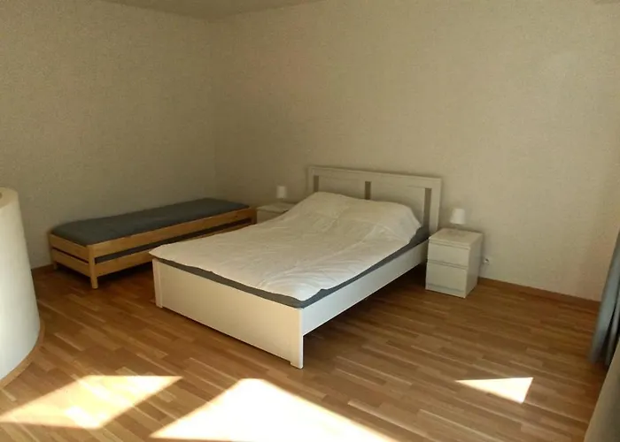 Brand New Two #25 In Elite Close To Center Apartment *